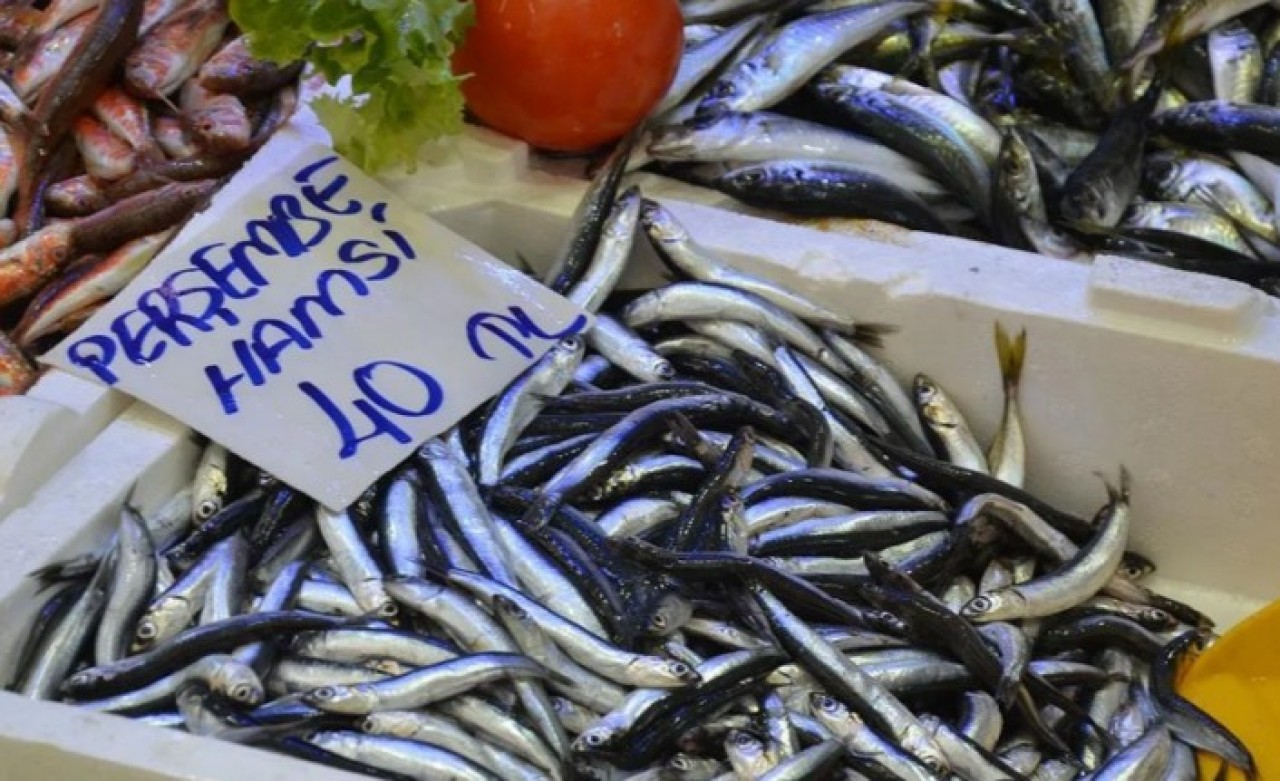 Hamsinin fiyatı kırmızı etle yarışıyor