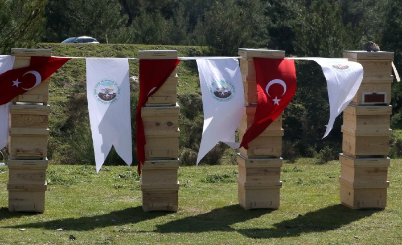 İzmir'de 100 Roman kadına,  1000 arı kovanı hibe edildi