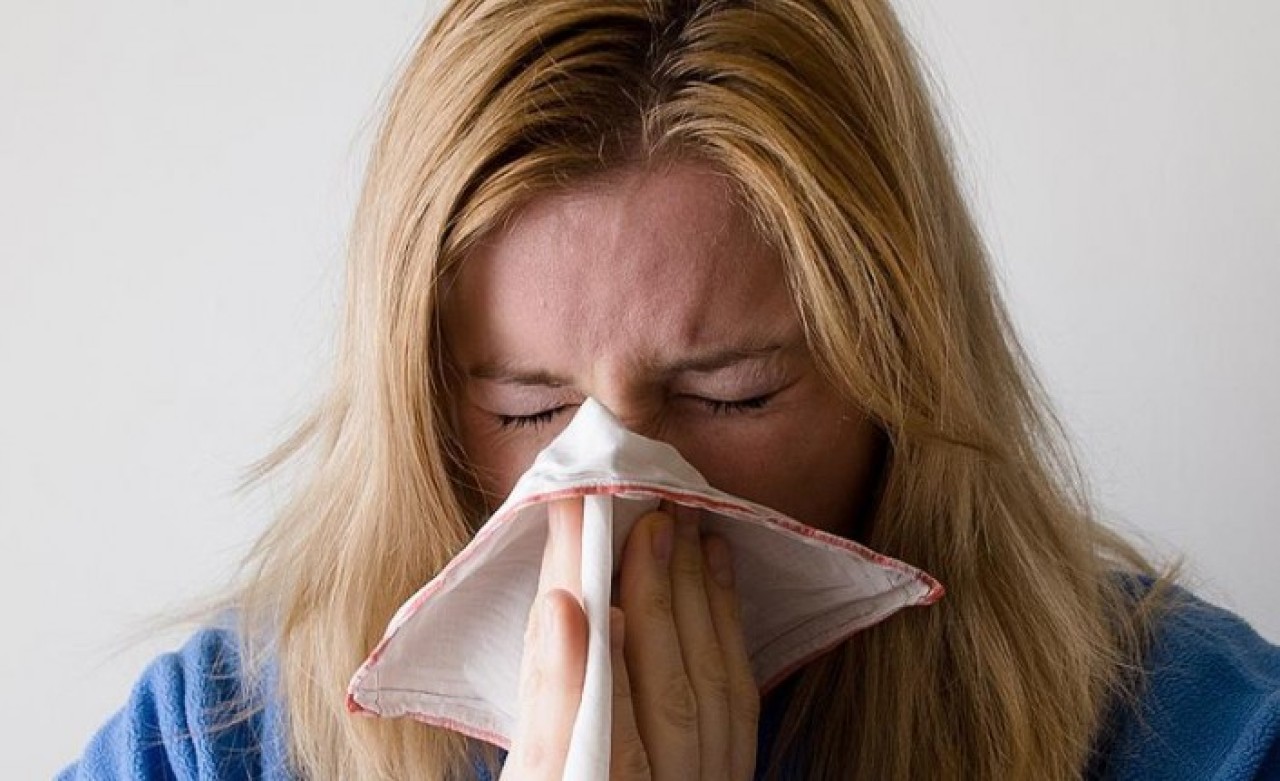 Koronanın gölgesinde kaldı! Bu yıl neredeyse hiç görülmedi