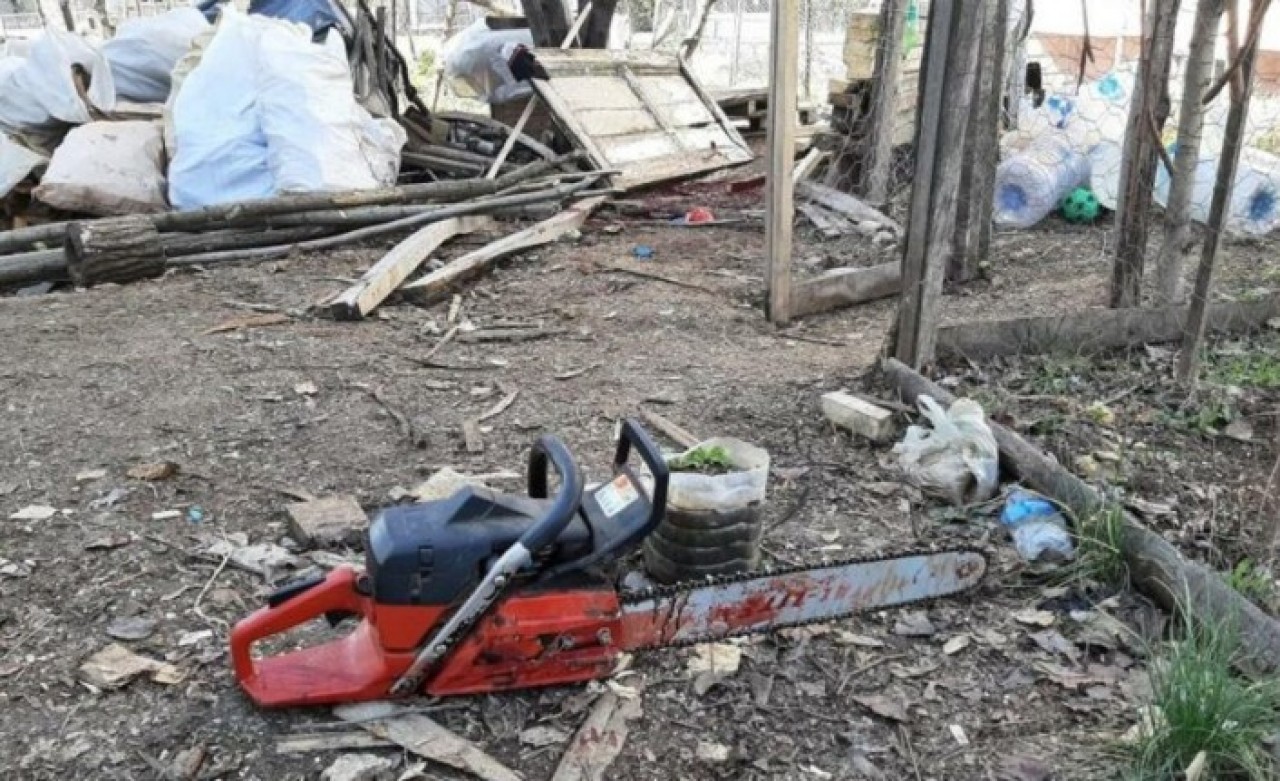 Samsun'da odun kesme kazası: Barış Keskin öldü
