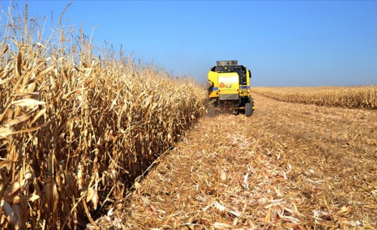 Tarım bünyesindeki 10 sektörün 8'iyle ihracatta atağa kalktı