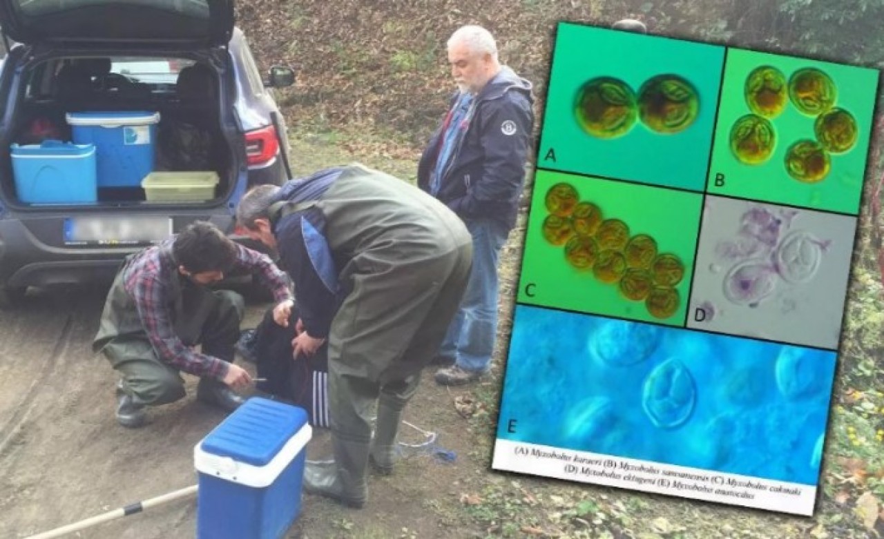 Türk bilim insanları keşfetti! Hocaların adıyla dünya literatürüne geçti