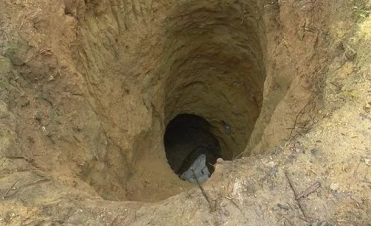 Define avcıları,  Belgrad Ormanı'nı delik deşik etti