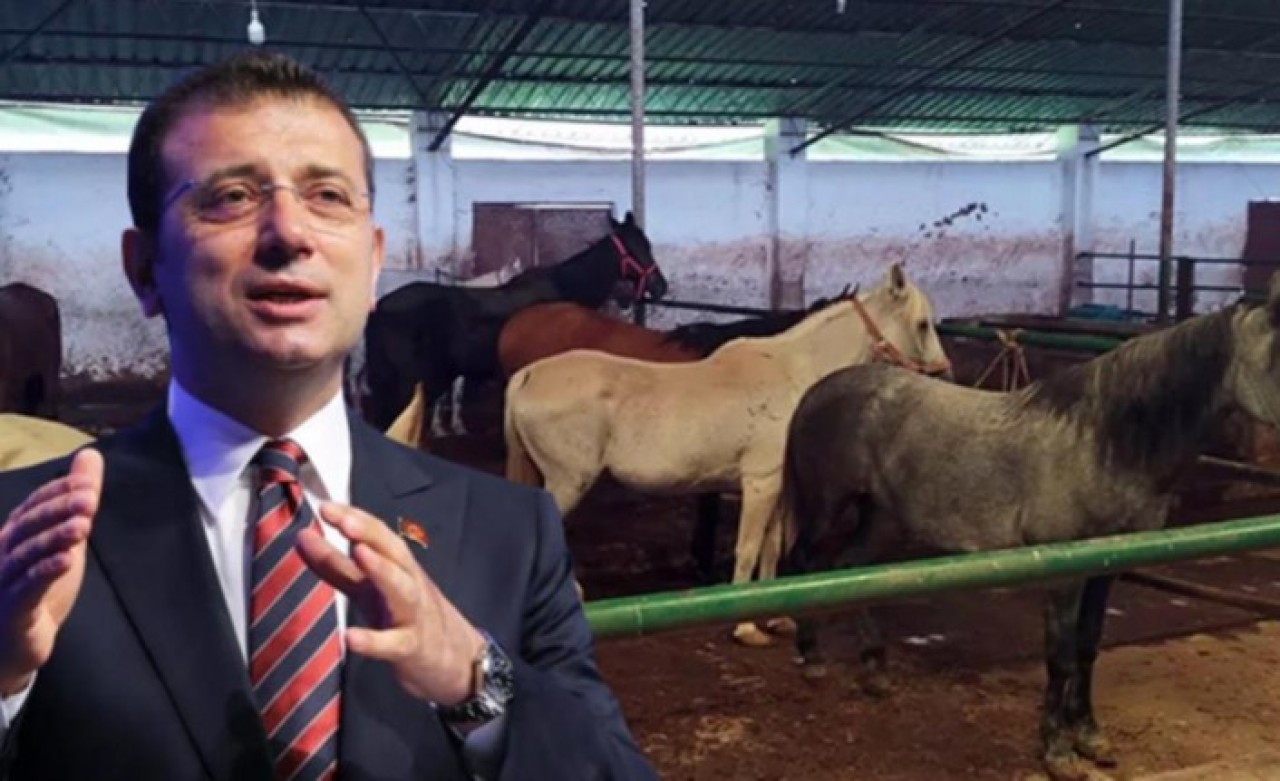 İBB'nin Hatay'a gönderdiği kayıp 100 atla ilgili kan donduran detaylar ortaya çıktı!