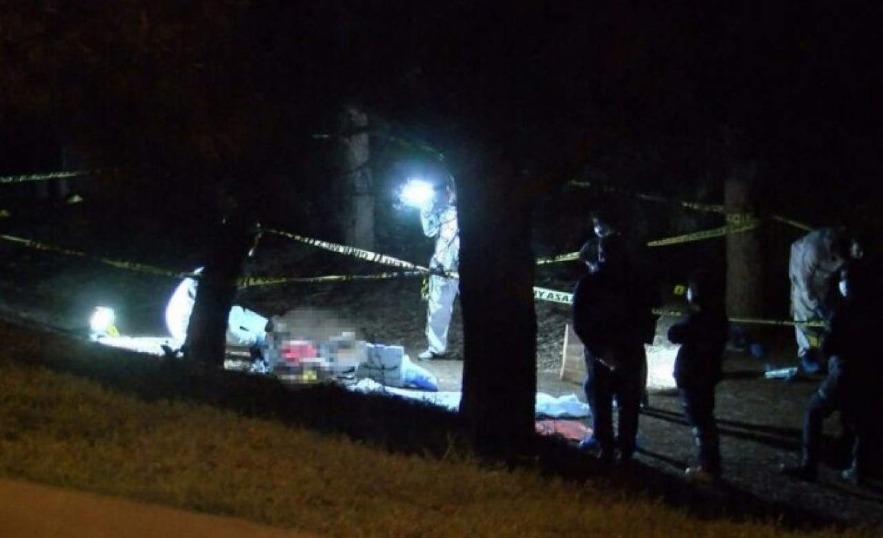 Sancaktepe'de TEM kenarında ceset bulundu: Erdem Parladı öldü