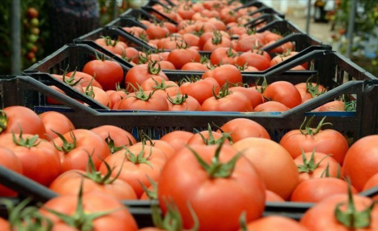 Türkiye'nin  2020 Dış Ticaret Verileri Raporu  yayımlandı