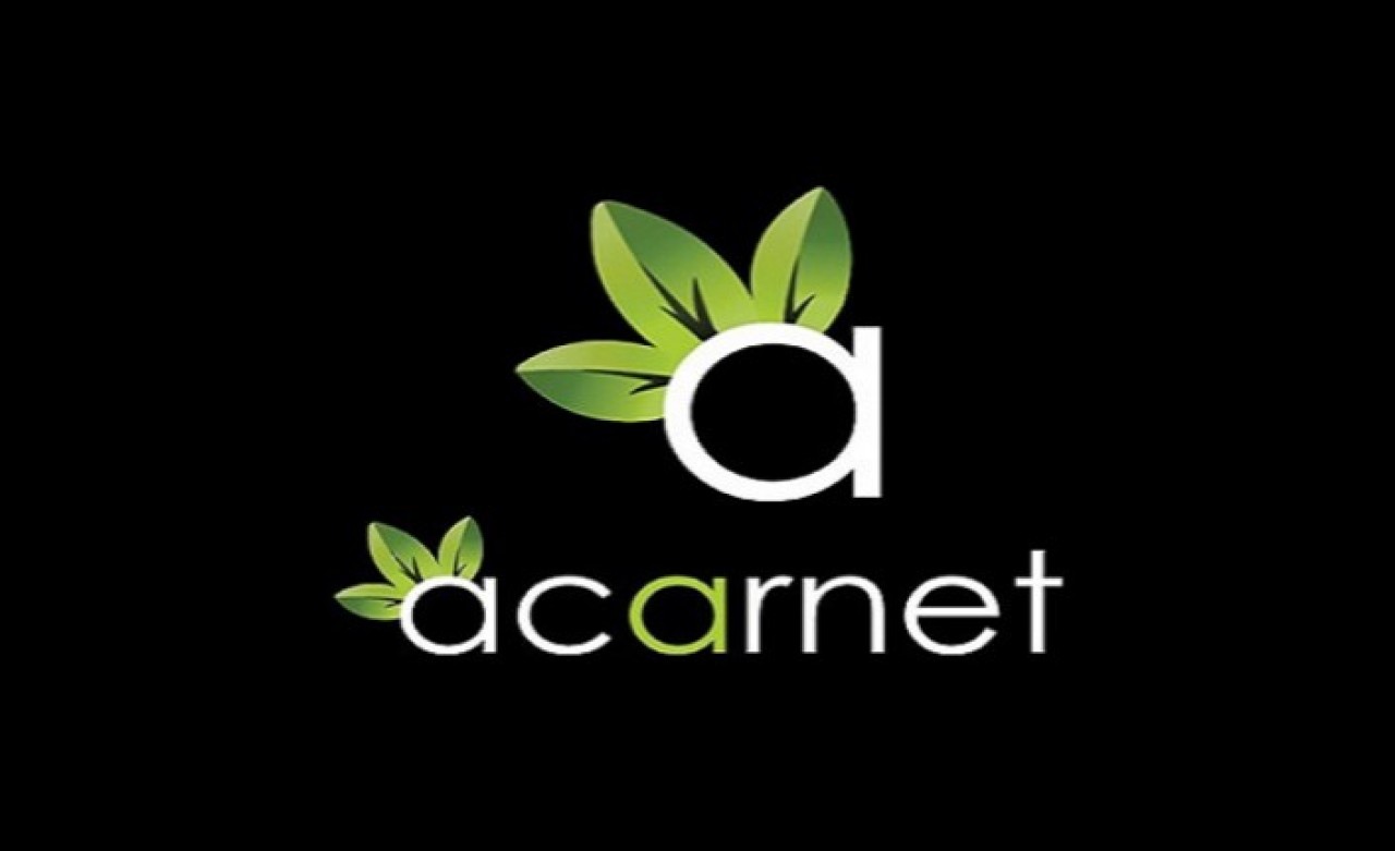 Web Tasarımda Acarnet ile Yükselin