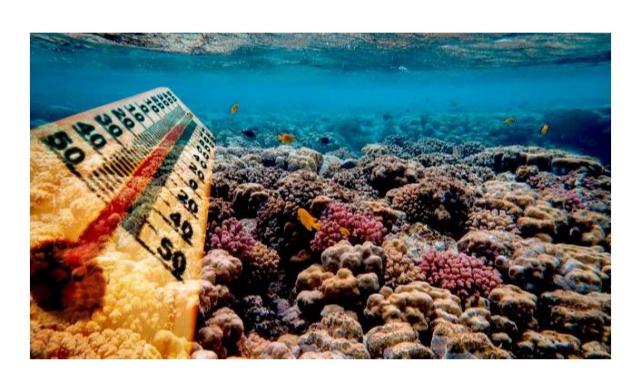 Araştırmaya göre,  'metan yiyen mikroplar' dünyanın sıcaklığını dengeliyor