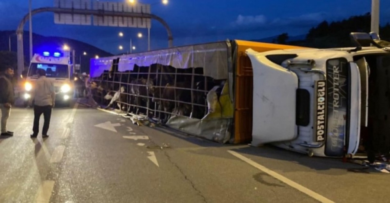 Bursa'da kaza: Yusuf Şal öldü,  Türkan Şal ve bebeği ağır yaralı