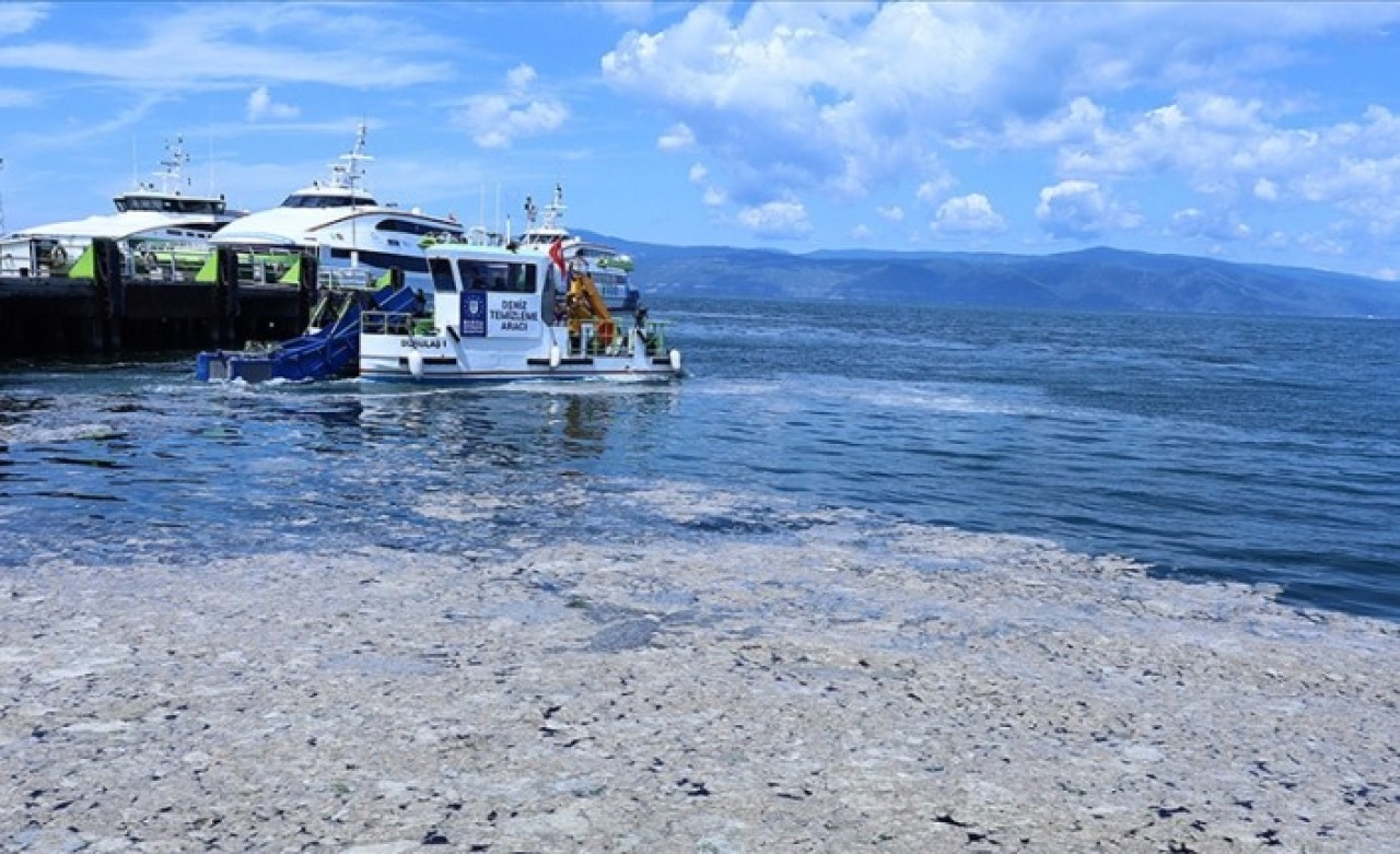 Marmara Denizi'nden temizlenecek deniz salyasının tarımdaki kullanım alanları araştırılıyor