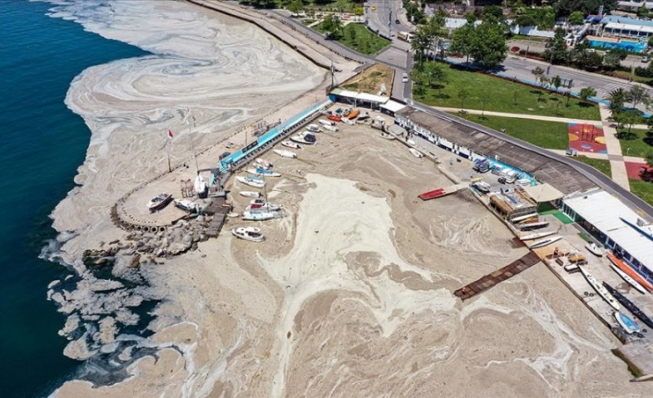 Müsilajın tamamen temizlenmesi için acil müdahale çalışması başlıyor