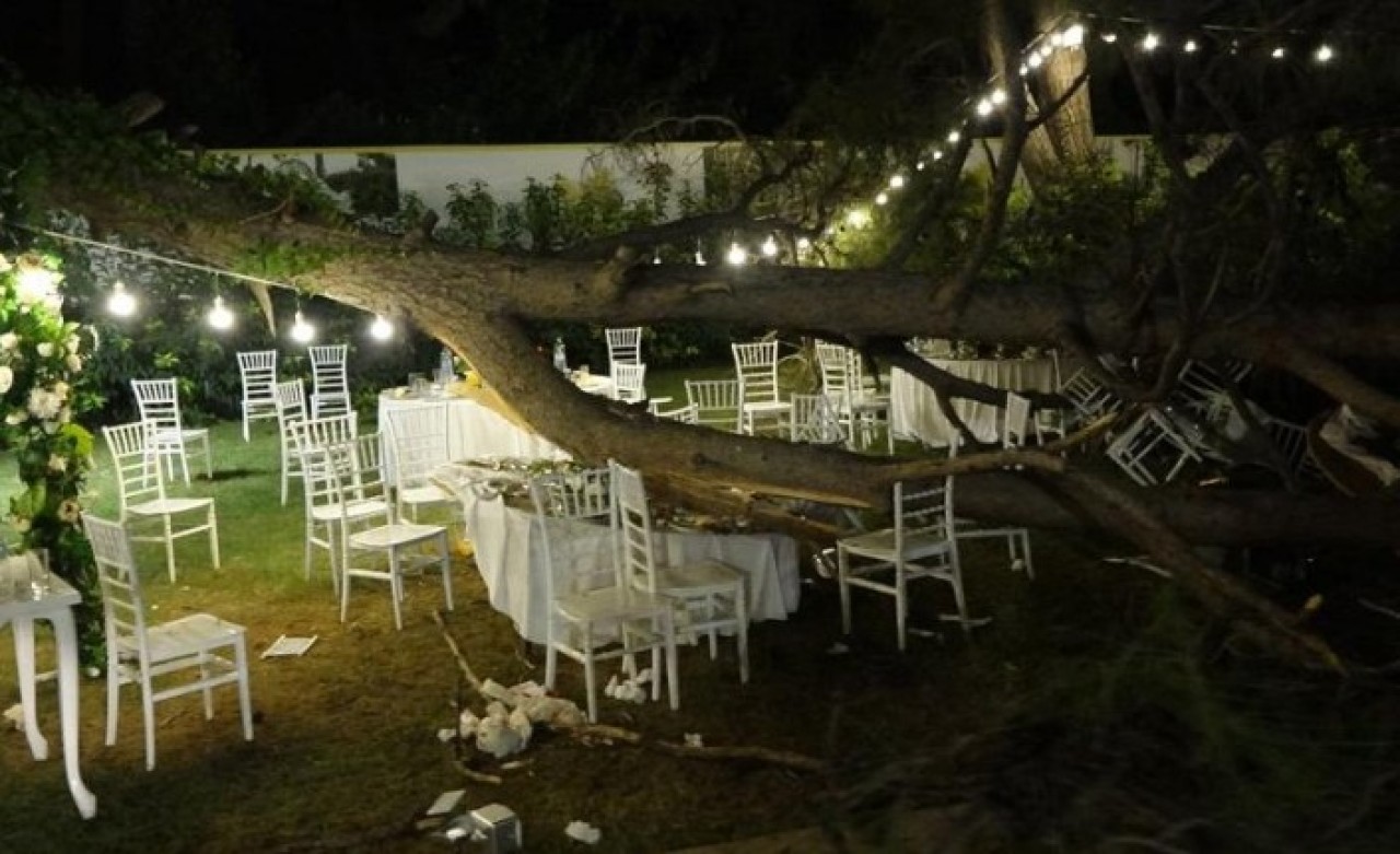 Antalya'da düğünde devrilen ağacın altında kaldı: Mustafa Ölmez öldü