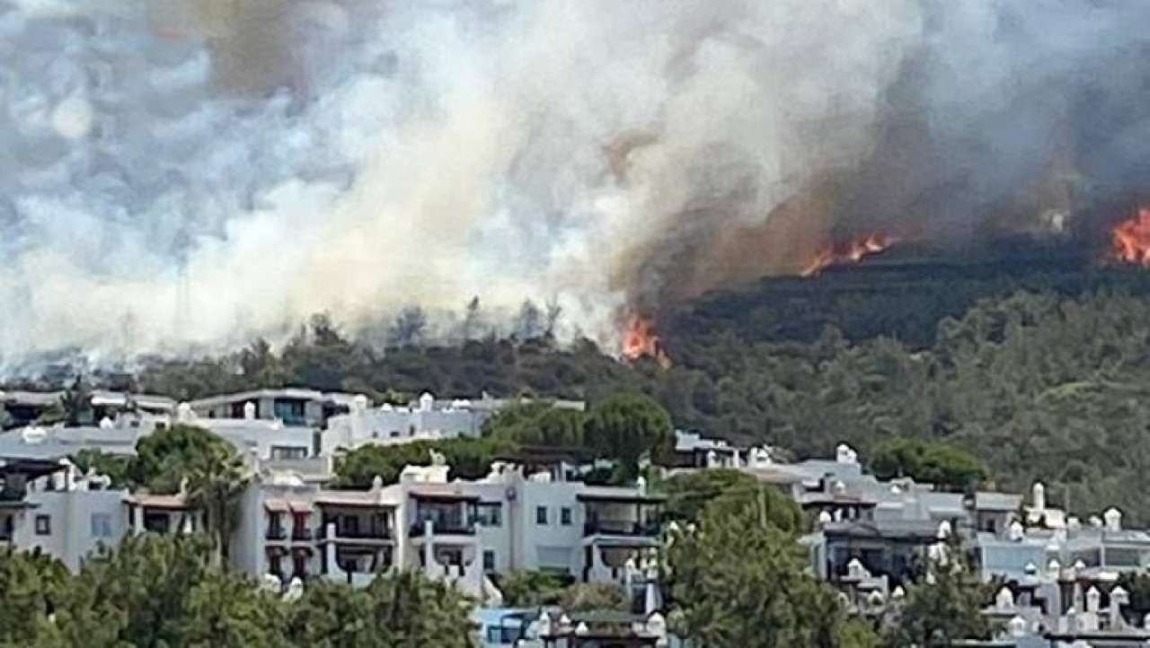 Bodrum'da yangın büyüyor,  bir tane daha çıktı: Belediye Başkanı Aras'tan halka hayati çağrı