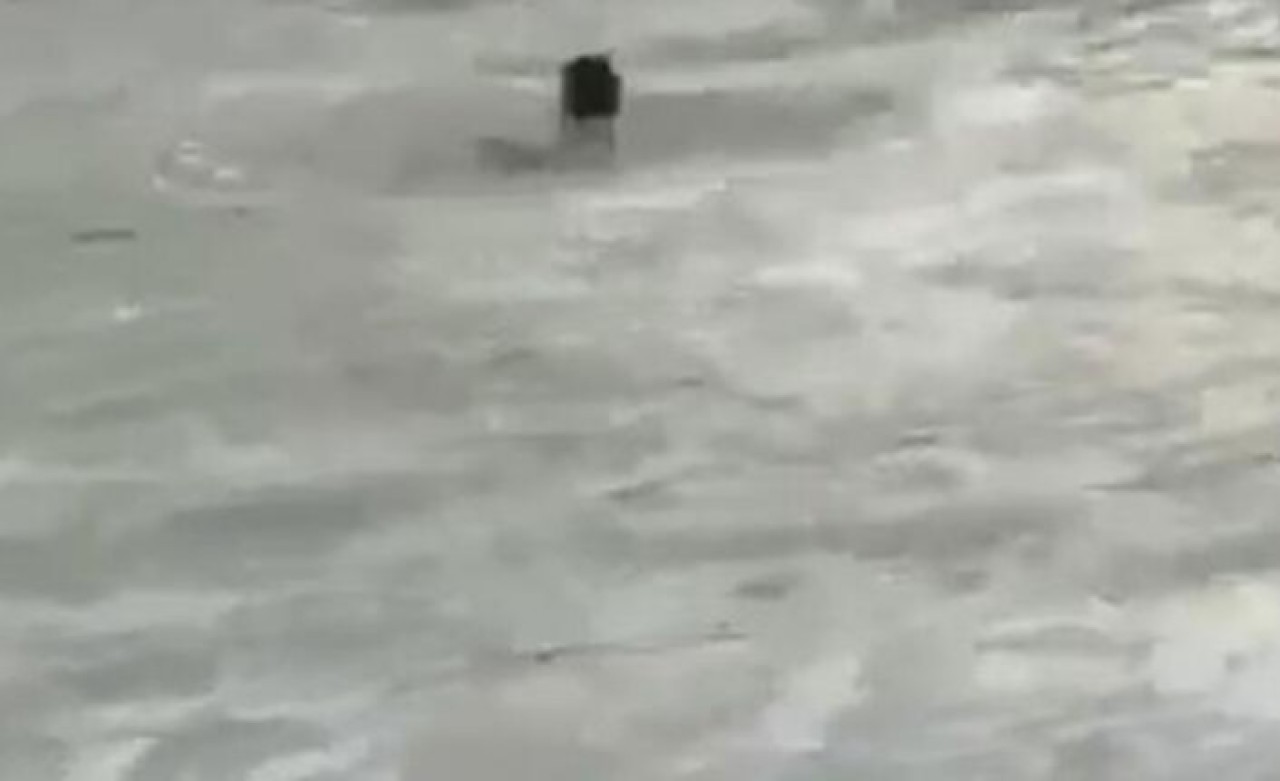 Çayeli'nden denize girdi,  cesedi Gürcistan'dan çıktı: Hasan Furuncu öldü