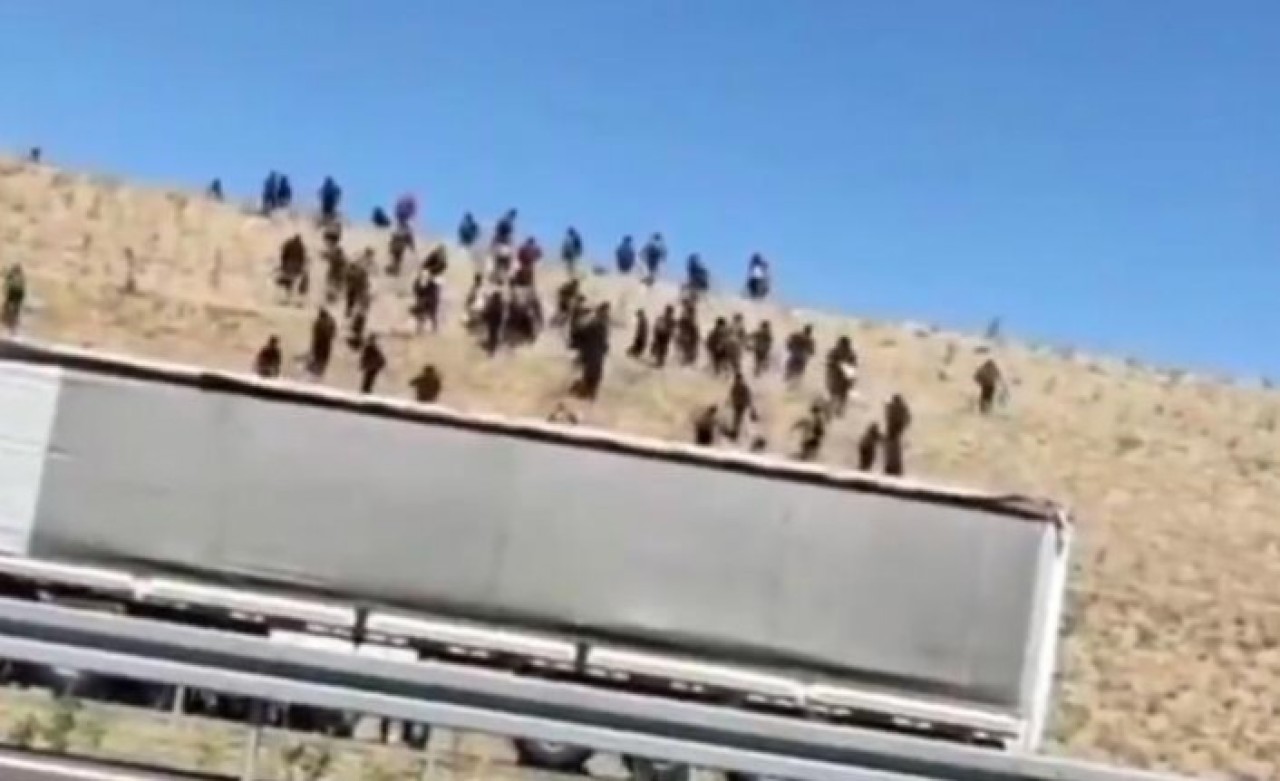 Afganistan'dan dalga dalga geliyorlar: Niğde'de otoyolda TIR'dan inip yerleşim yerlerine dağıldılar,  7'si koronavirüslü çıktı