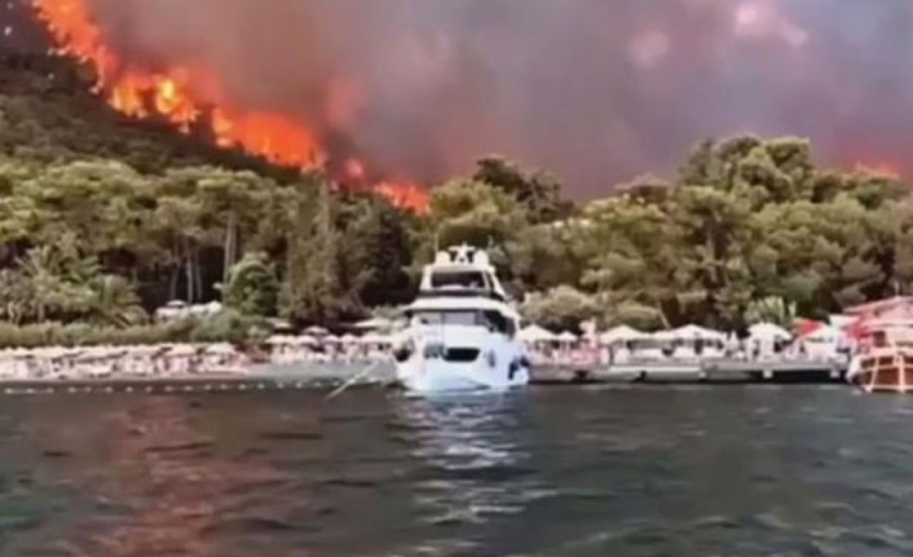 Kütahya,  Alanya,  Didim,  Bodrum da yanıyor: Bodrum'da otele de sıçradı