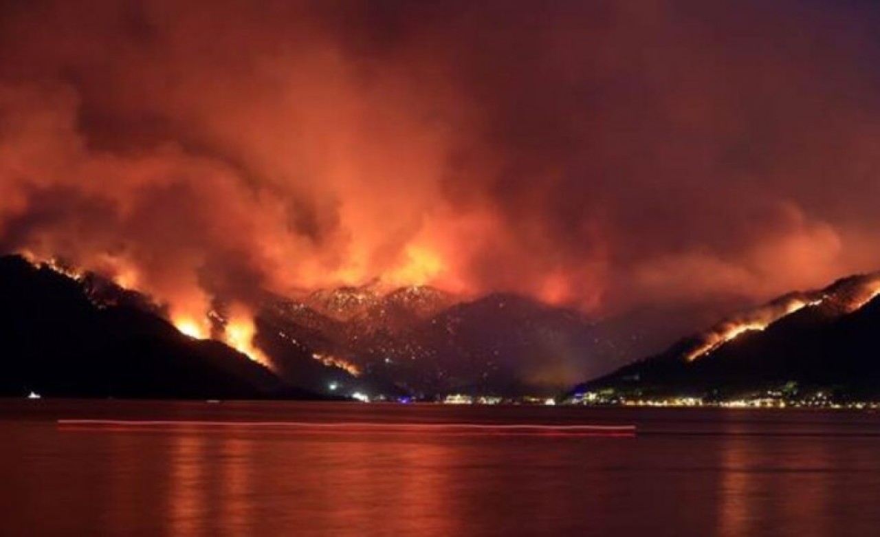 Marmaris'teki yangının nedeni ortaya çıktı: Bakın kimler nasıl yakmış!
