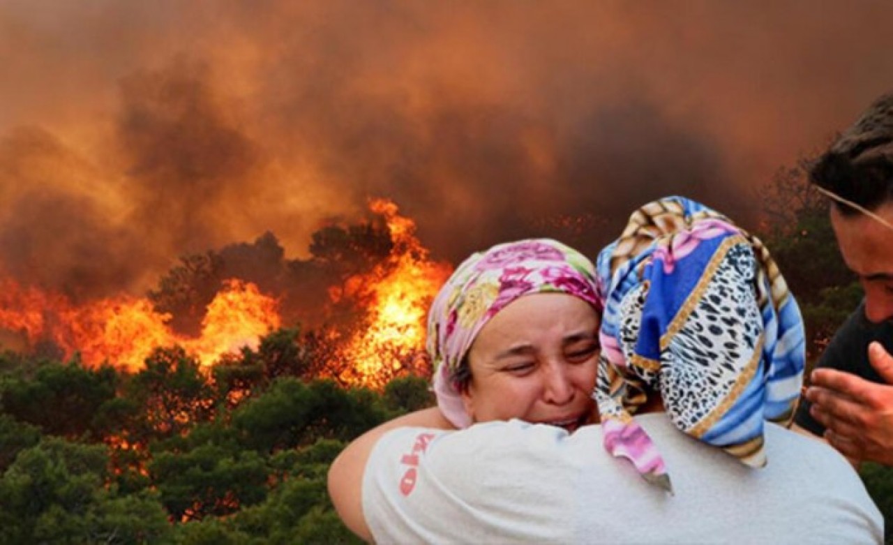 Marmaris yangını Osmaniye,  Bayır,  Turgut,  Çiftlik,  Asparan ve Turunç'ta hala devam ediyor: Acı bilanço!