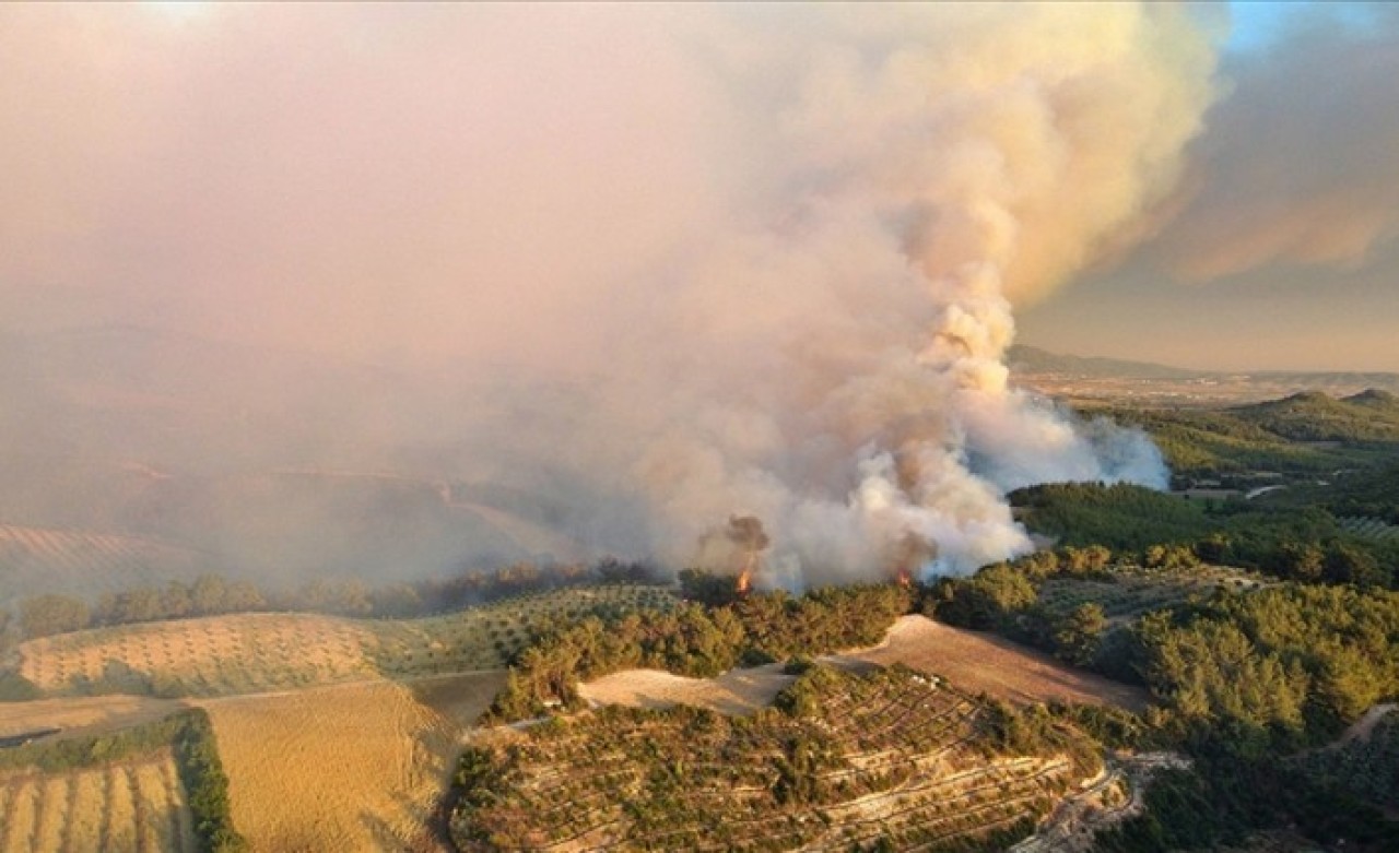Osmaniye'deki orman yangınıyla ilgili 5 şüpheli gözaltına alındı
