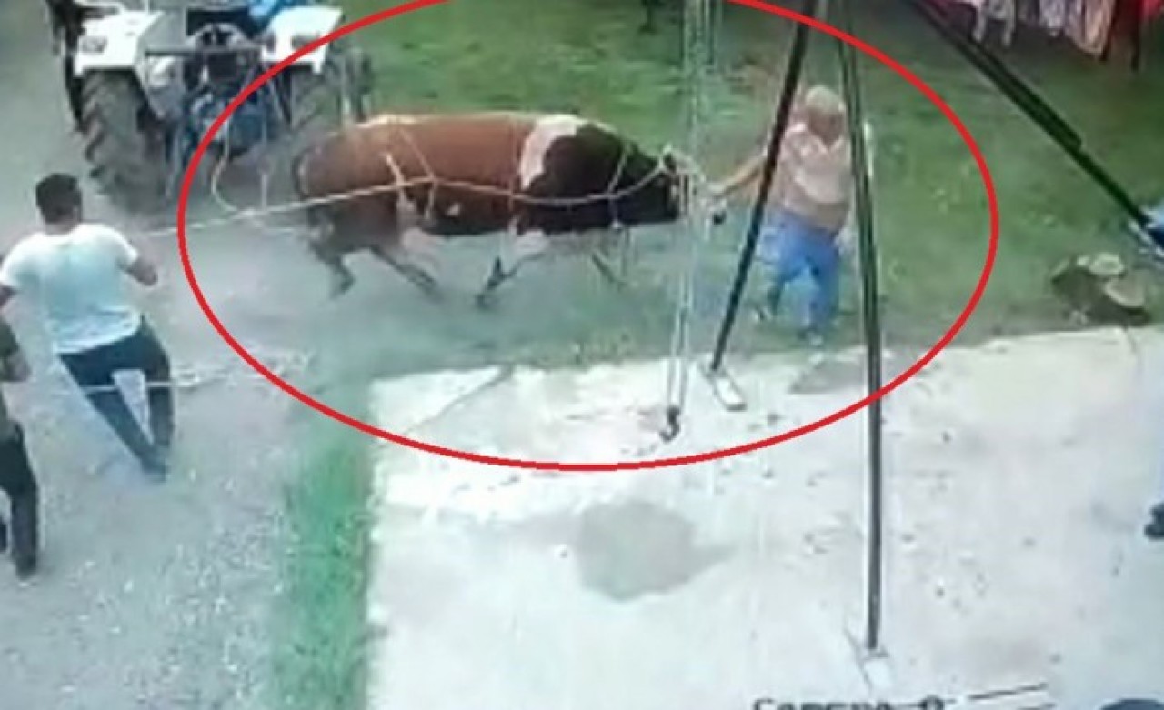Samsun'da kurbanlık boğanın saldırdığı Bilal Baylan öldü