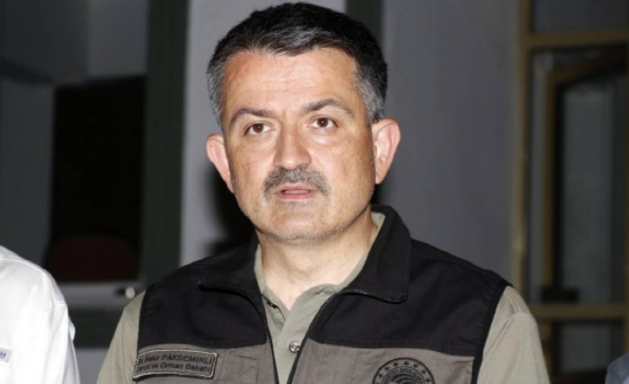 Bakan Pakdemirli: 2'si dışında tüm orman yangınları kontrol altına alındı