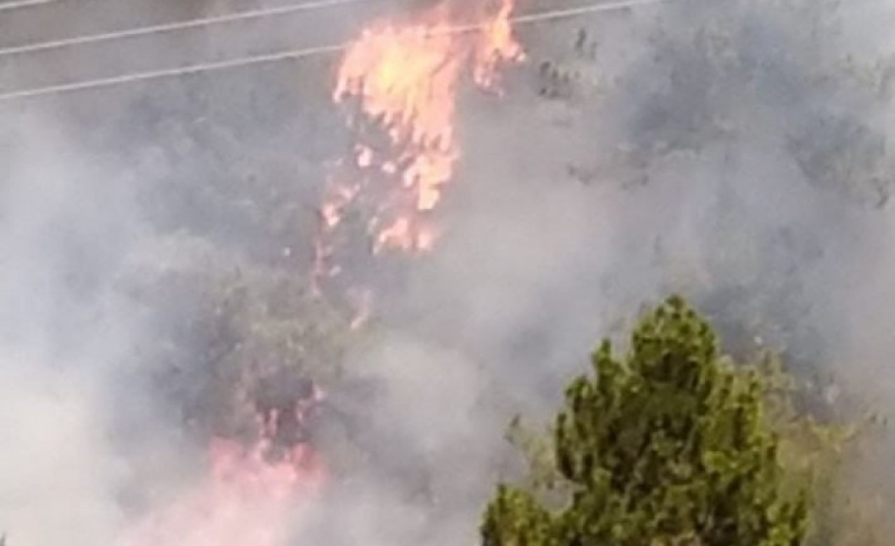 Bir yangın da Denizli'de: Büyüyor!