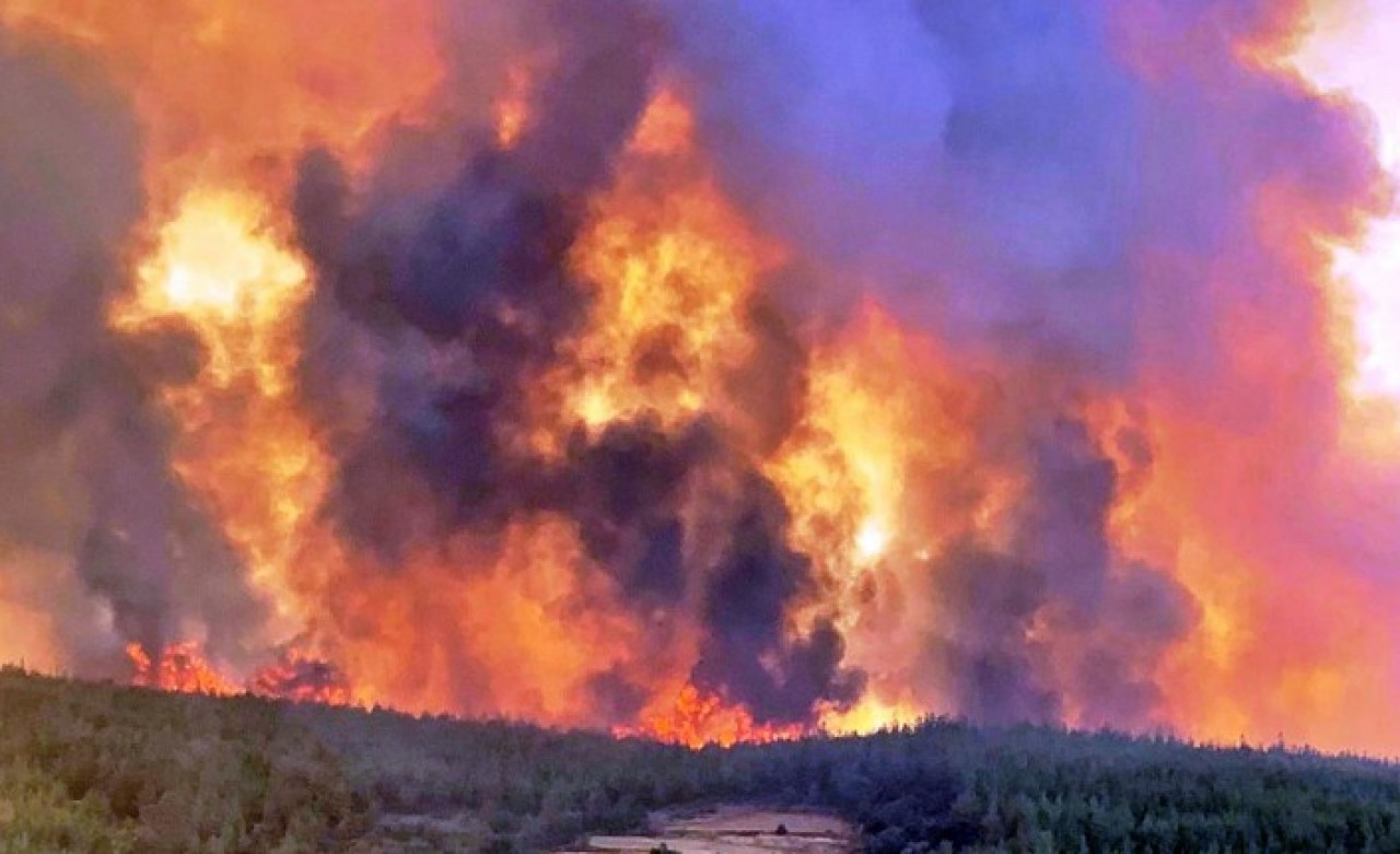 Bir yangın daha: Aydın'da başladı,  Muğla'ya sıçradı,  yollar kapandı!