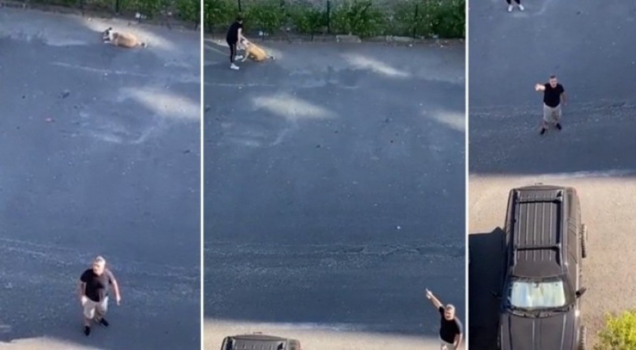 Daire 16 nedir? İbrahim Kaya kimdir?