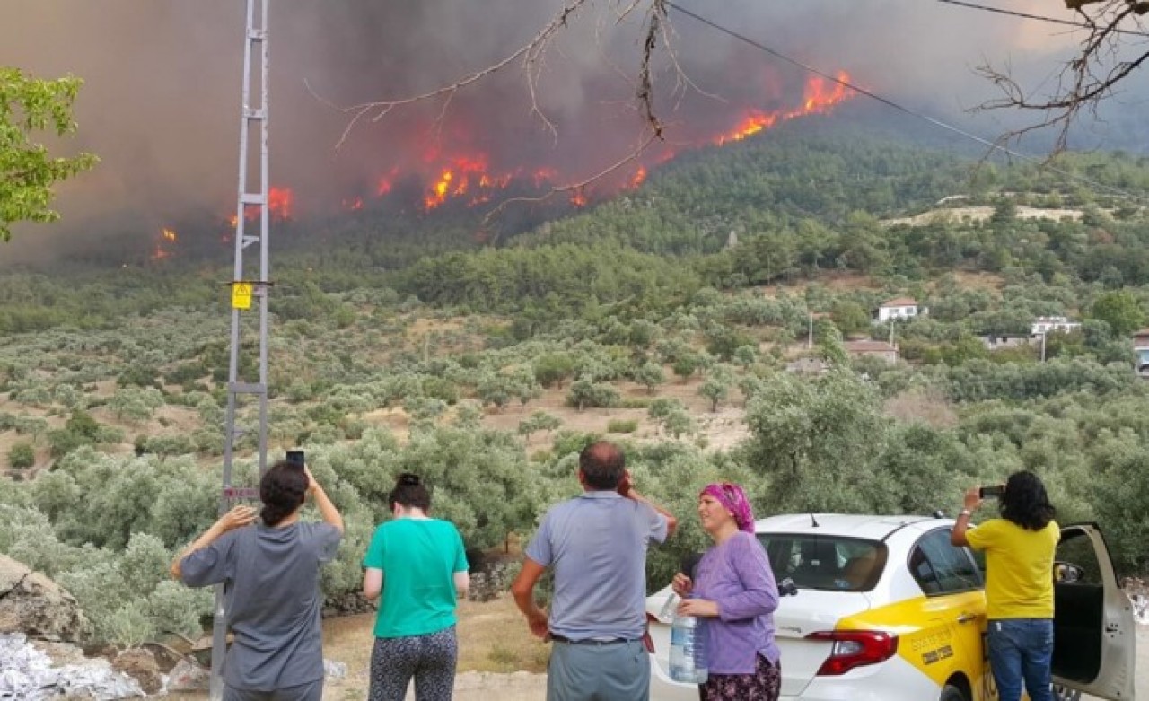 İşte yangınlarda son durum! Bakan Pakdemirli açıkladı: 6 yerde devam ediyor