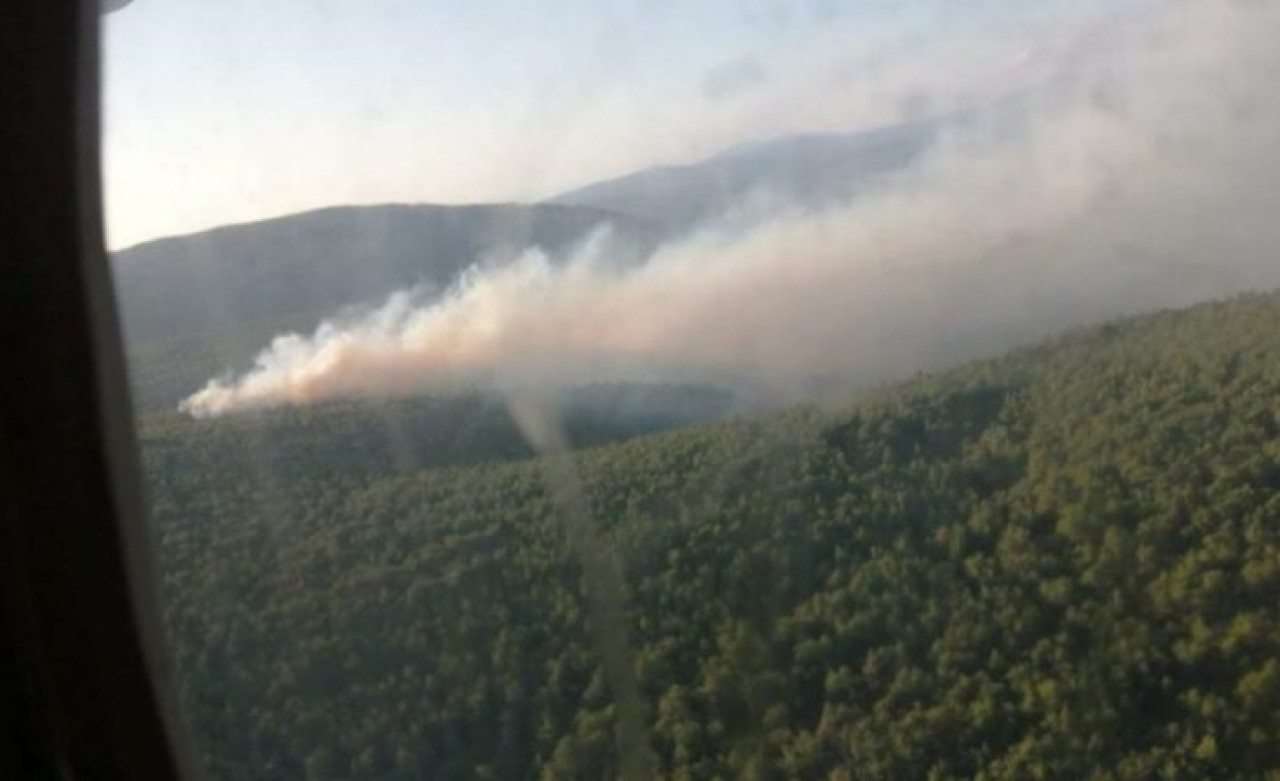 İzmir Çeşme'de korkutan yangın