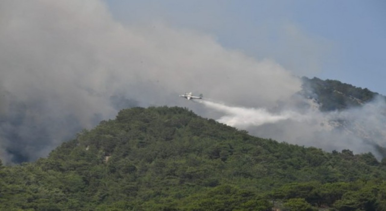  Kazdağları'nda çıkan orman yangını kontrol altına alındı
