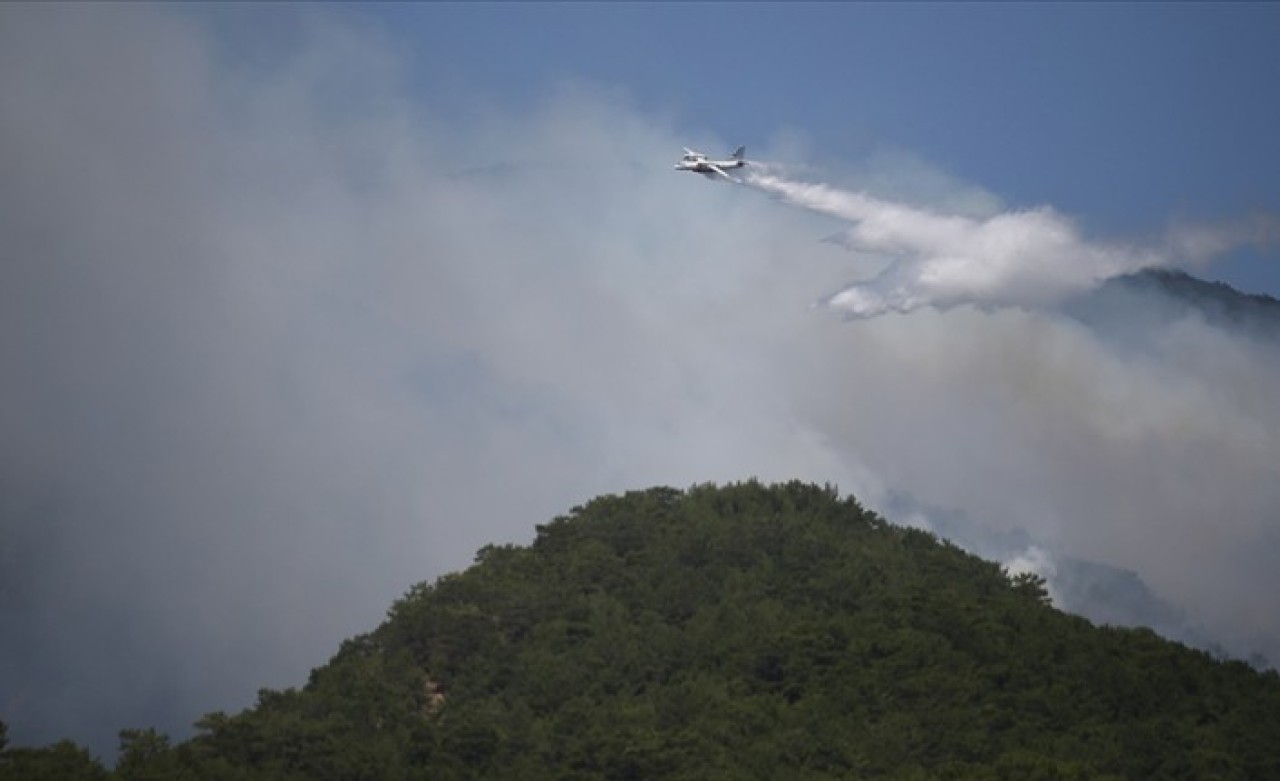 Kazdağları'nda yangın sürüyor: Yangın söndürme çalışması yapanlara ayı saldırdı,  yaralı var