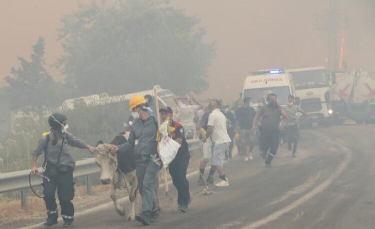 Marmaris'de yangın sürüyor: Hisarönü'nde evler yanıyor