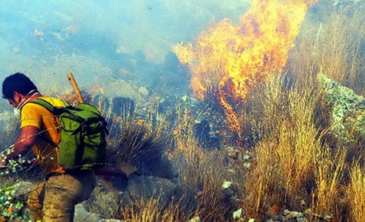 Milas'taki yangın kontrol altına alındı: Bu kez de Bodrum yanıyor!