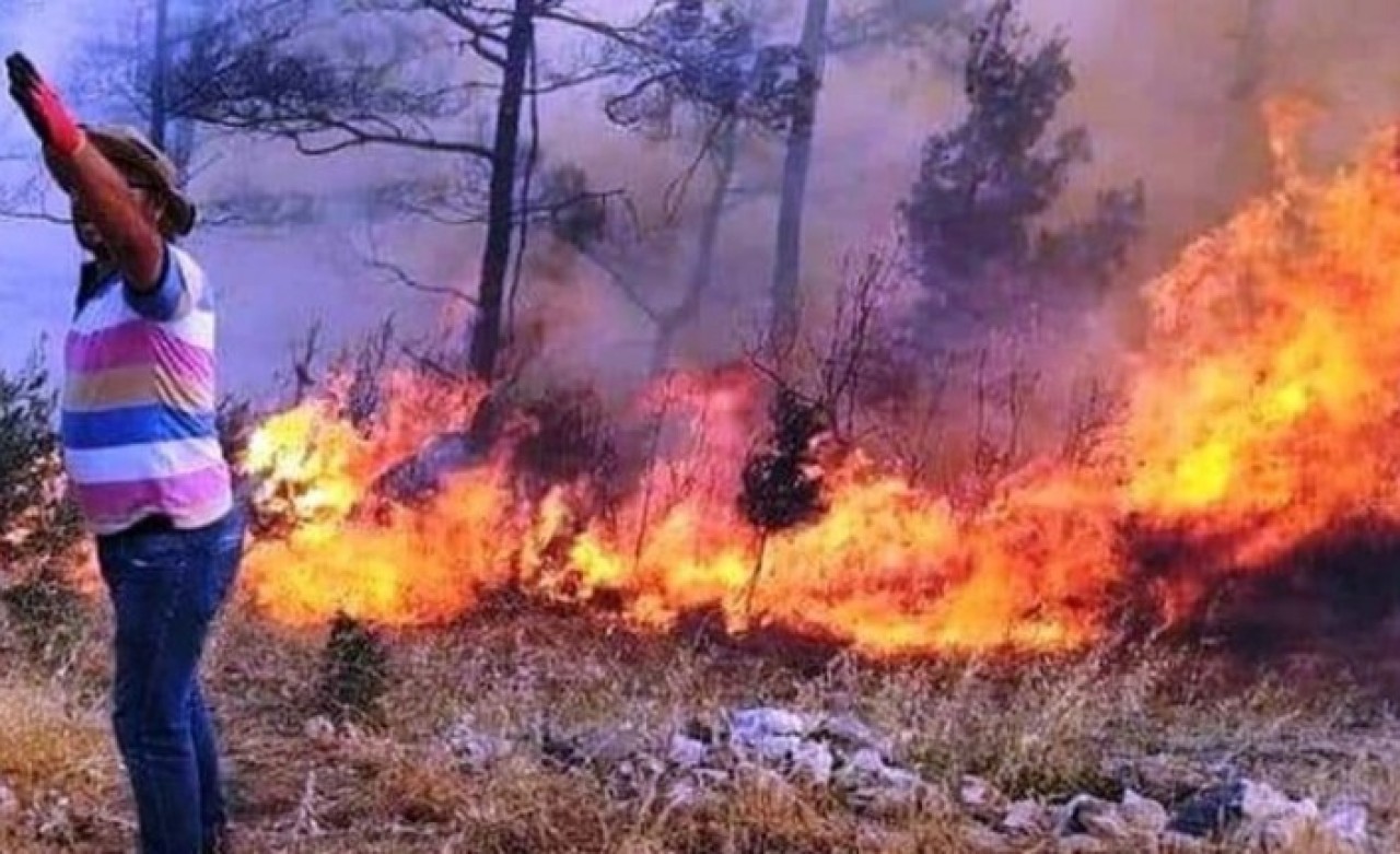 Muğla'da bir orman yangını daha çıktı