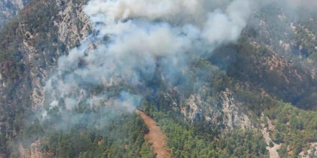 Muğla Köyceğiz'de yine orman yangını başladı
