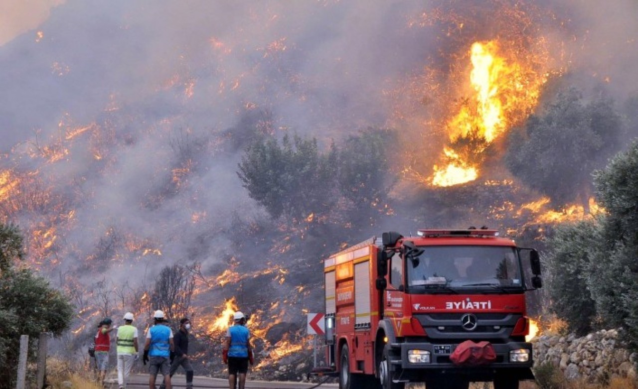 Mumcular yangınıyla ilgili 3 kişi tutuklandı: Bakın nasıl yakmışlar!