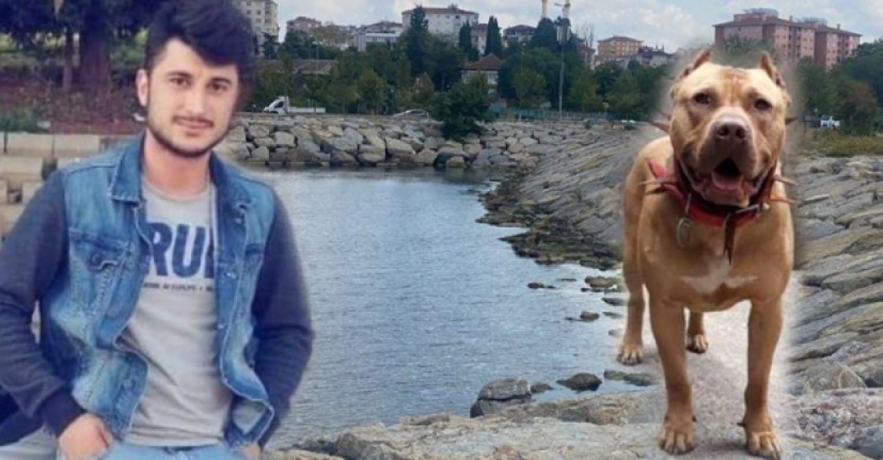 Pendik'te yüzerken boğulan Oğuzhan Doğan'a denizde pitbull köpek saldırmış! Köpeğin sahibi de konuştu