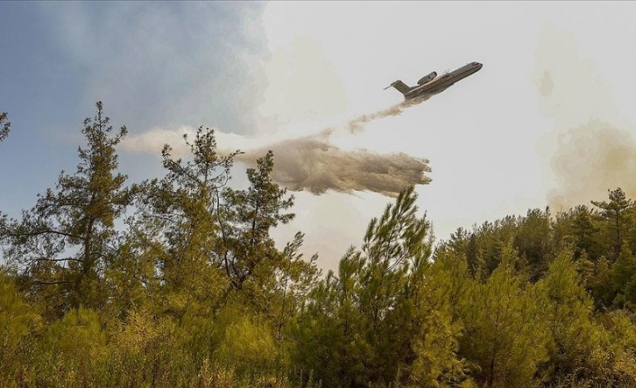 Sağlık Bakanı Koca'dan yangın bölgeleriyle ilgili açıklama: İşte son durum
