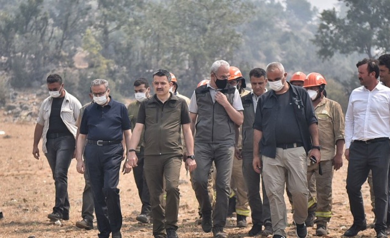Tarım ve Orman Bakanı Bekir Pakdemirli'den müjdeli haber