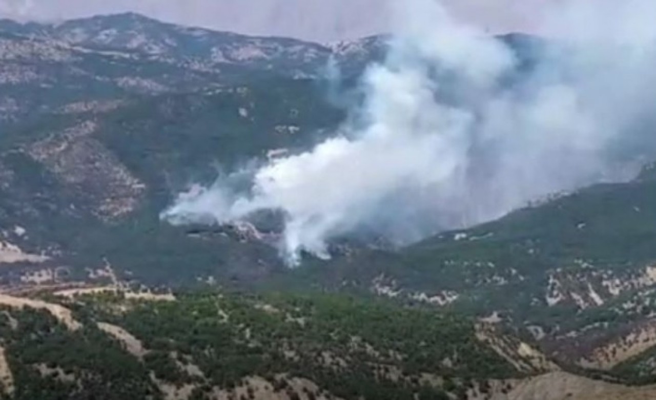 Tunceli'de orman yangını: Valilikten açıklama