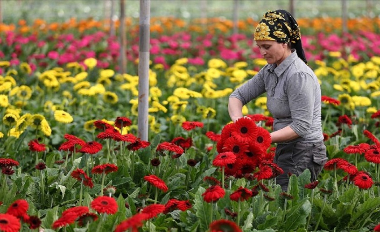 Türkiye'nin tarım ihracatı yüzde 34, 9 yükselerek 121 milyar doları geçti!