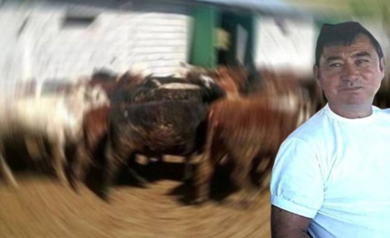 Edremit'te çiftliğe silahlı baskın: Muharrem Güler öldü