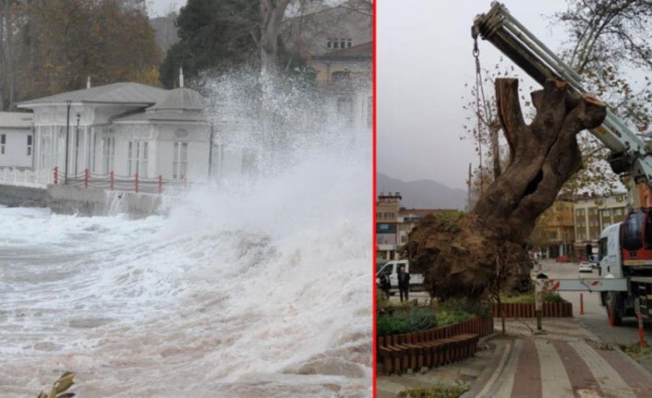 Hızı bakın kaç kilometre ölçüldü: İstanbul'da fırtına hayatı alt üst etti,  4 kişi hayatını kaybetti
