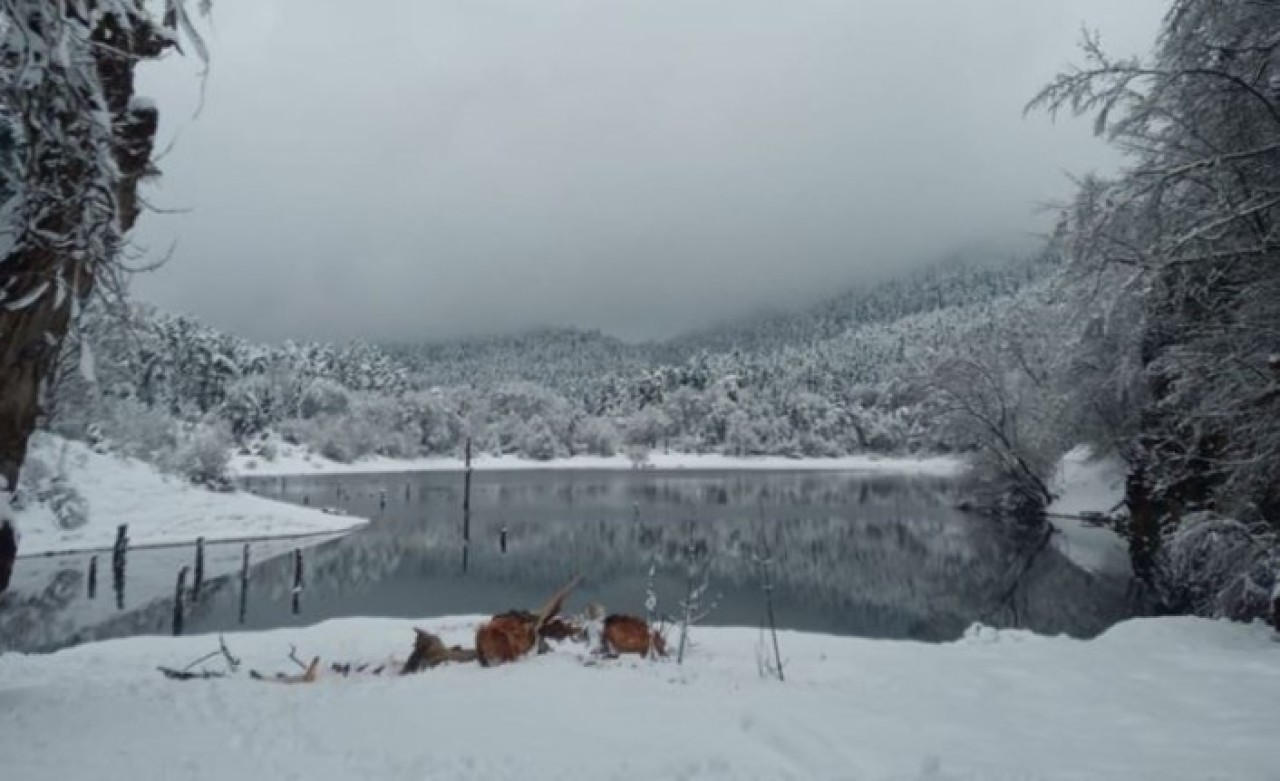 Bolu'da Sülüklügöl'de dehşet: Hüseyin Fırat öldü,  Ferdi Fırat yaralı