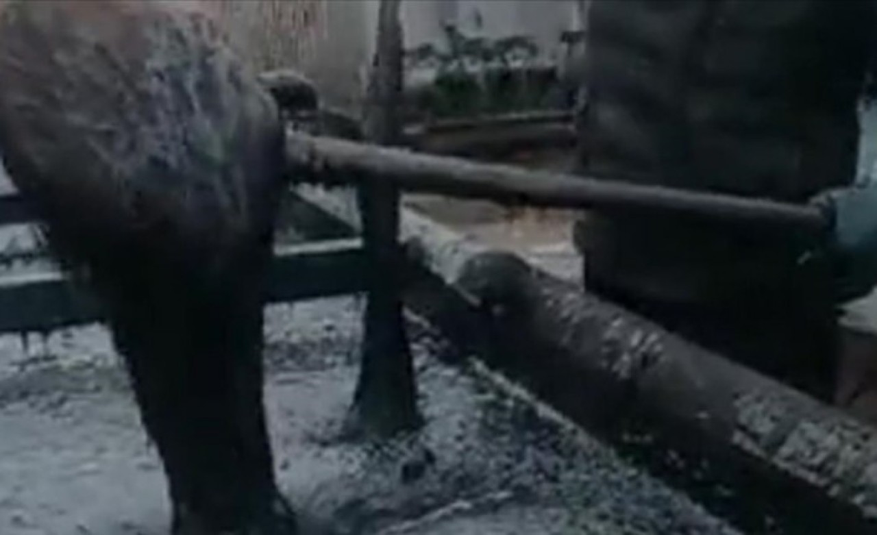 Türkiye-Suriye sınırında ağır petrol keşfi