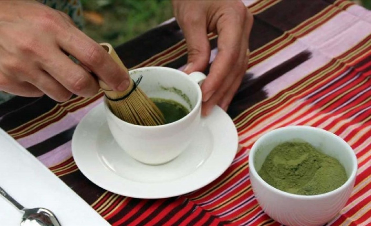 ÇAYKUR çay tohumundan yağ üretimi üzerinde çalışıyor