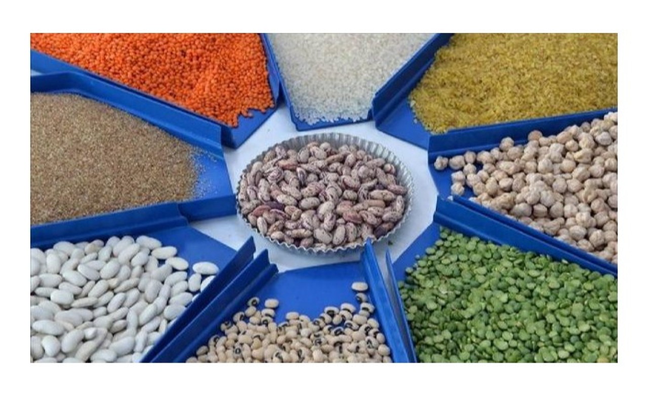 Hububat ve bakliyat ihracatından 9, 2 milyar dolar gelir