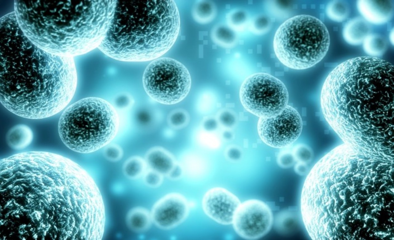 Kanserde kilo kaybını önleyen tedavi