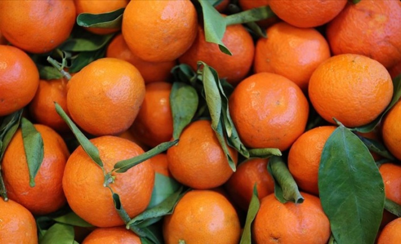 Narenciye sektörü,  bahçe ile market arasındaki yüksek fiyat farkından şikayetçi